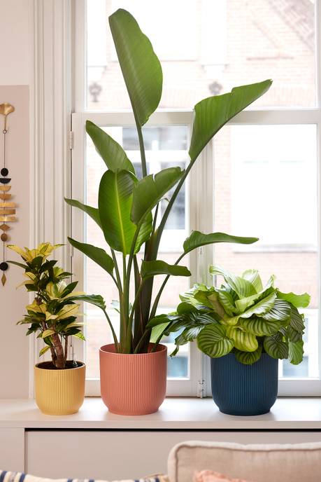 vibes fold rund 16cm zartrosa